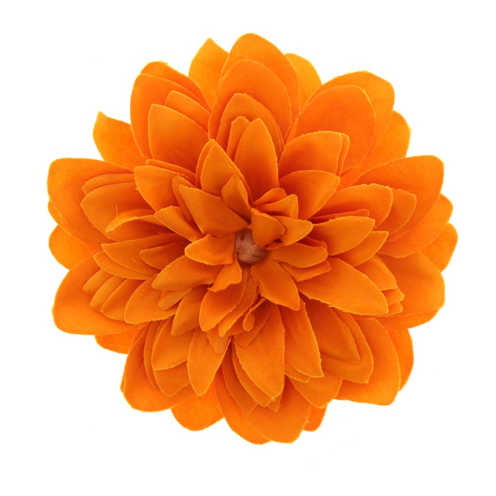 Zac's Alter Ego - Large chrysanthemum Haarbloem - Oranje